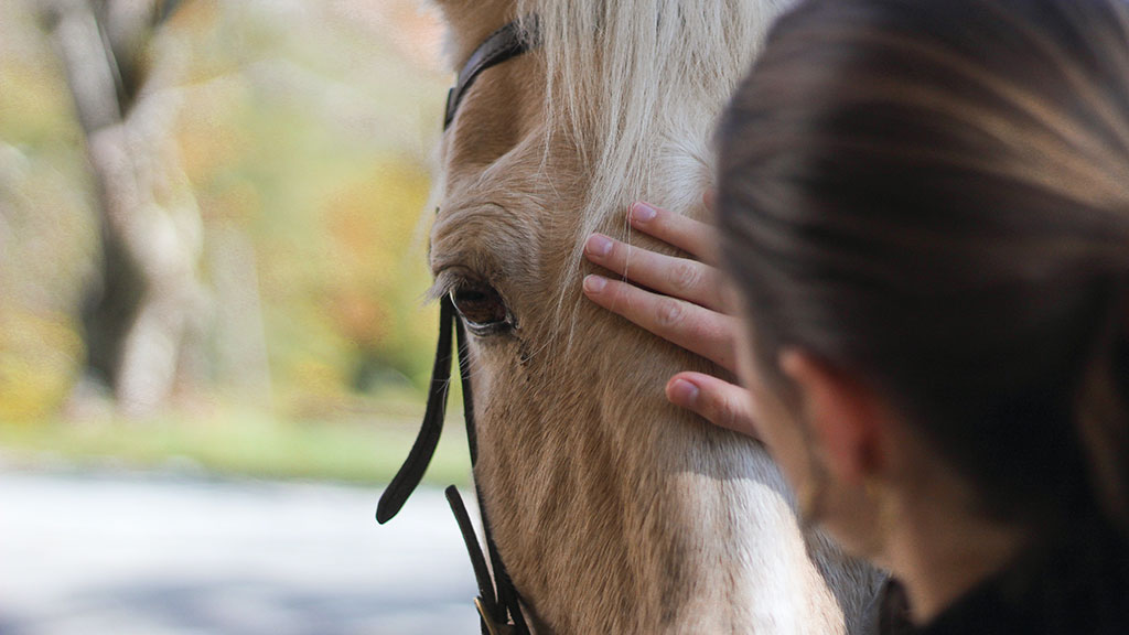 Mädchen mit Pferd © Unsplash / Alex Gossett
